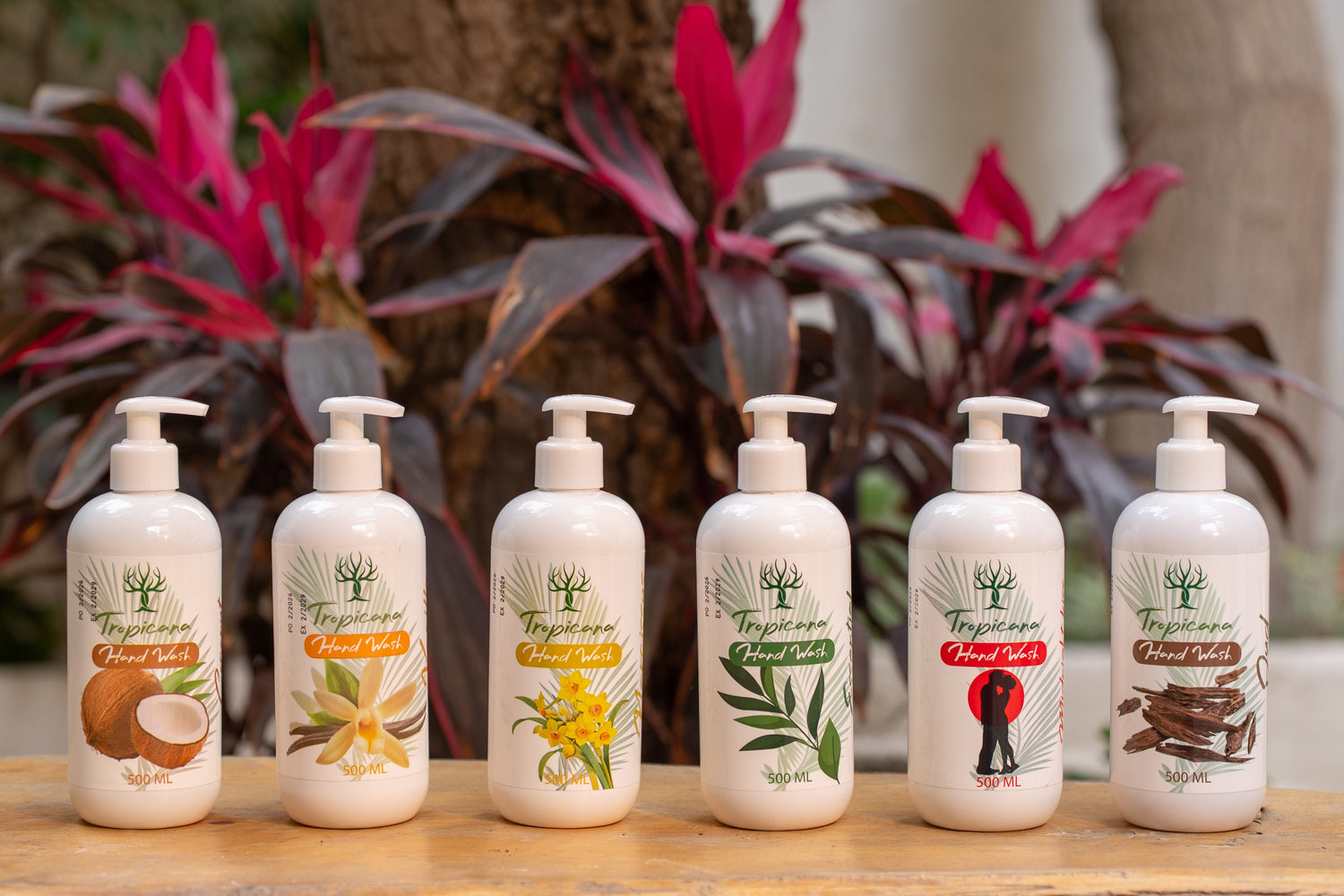 Body & Personal Care